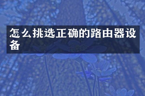 怎么挑选正确的路由器设备
