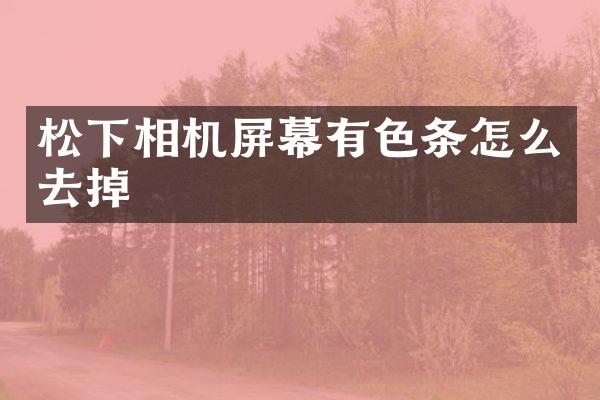 相机屏幕有色条怎么去掉