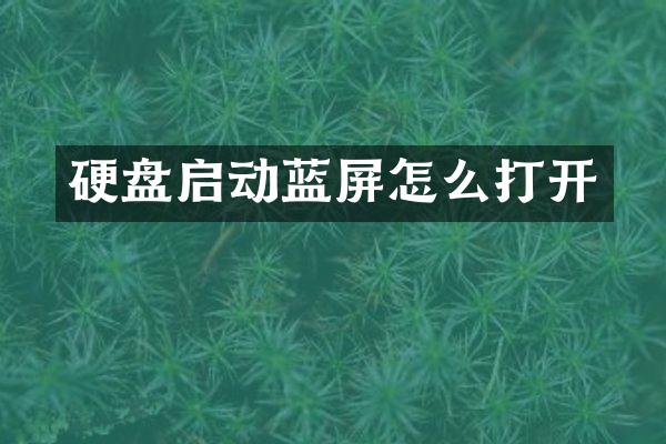 硬盘启动蓝屏怎么打开