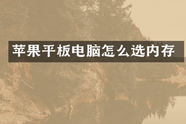苹果平板电脑怎么选内存