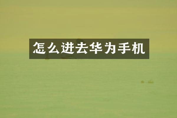 怎么进去华为手机