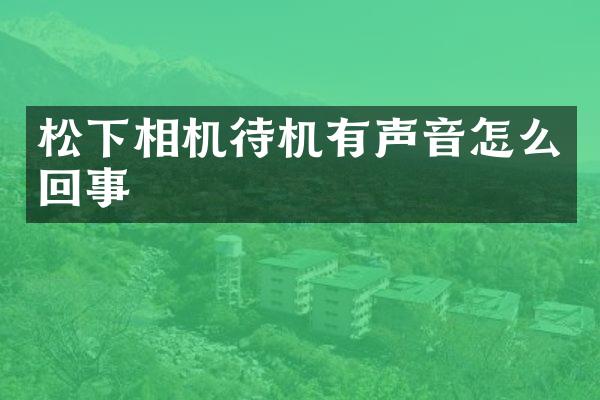 相机待机有声音怎么回事