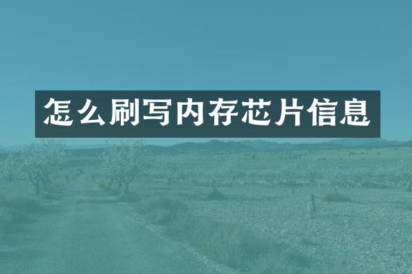 怎么刷写内存芯片信息