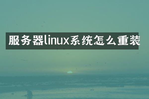 服务器linux系统怎么重装