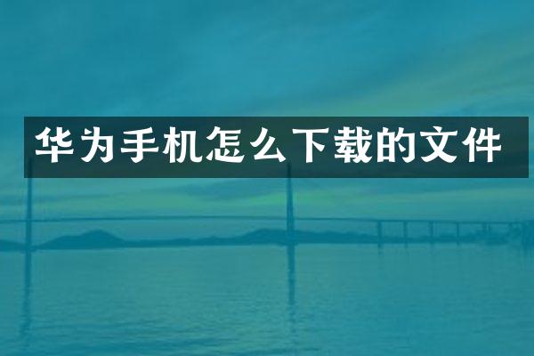 华为手机怎么下载的文件