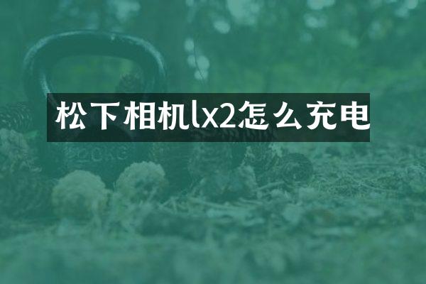 相机lx2怎么充电