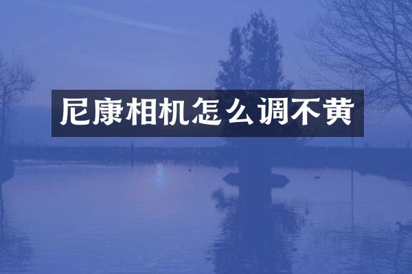尼康相机怎么调不黄