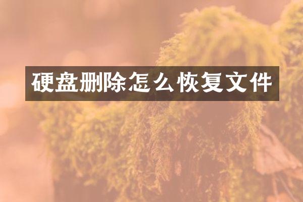 硬盘删除怎么恢复文件