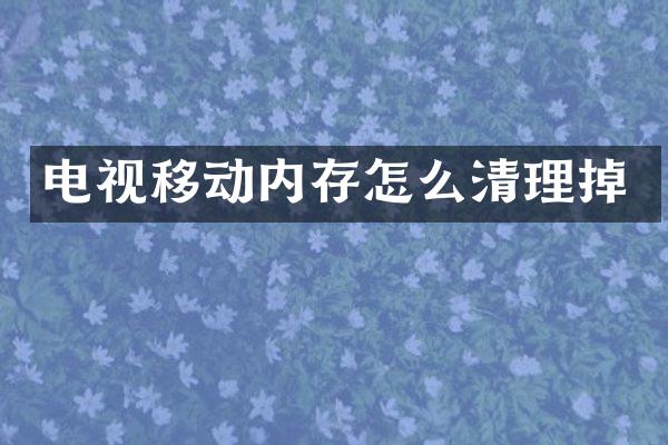 电视移动内存怎么清理掉