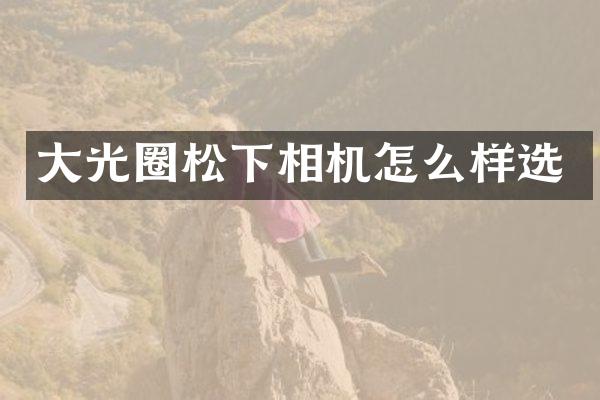 大光圈相机怎么样选