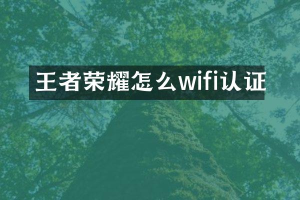 王者荣耀怎么wifi认证