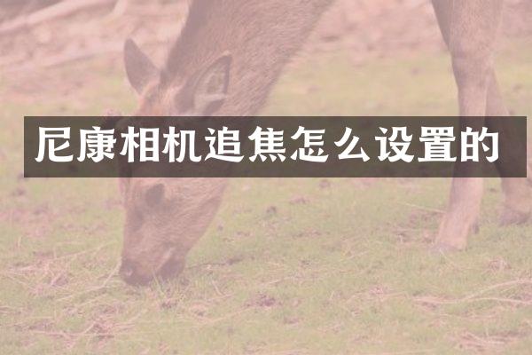尼康相机追焦怎么设置的
