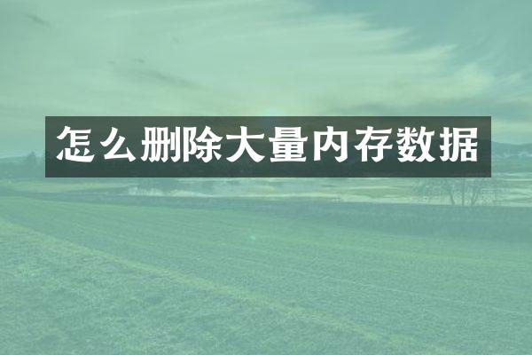 怎么删除大量内存数据
