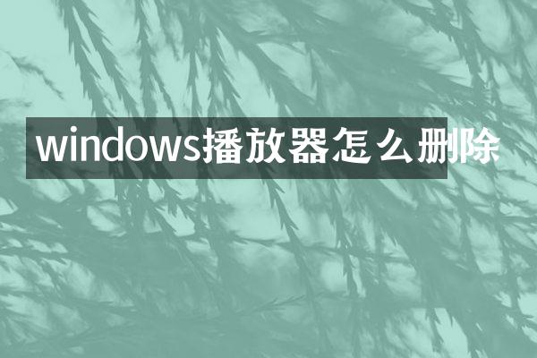 windows播放器怎么删除
