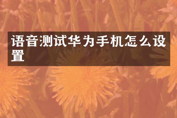 语音测试华为手机怎么设置