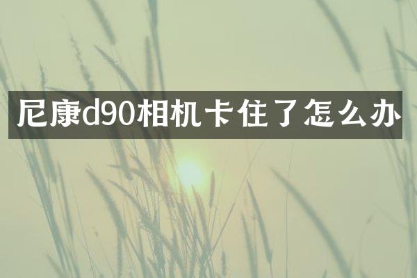 尼康d90相机卡住了怎么办