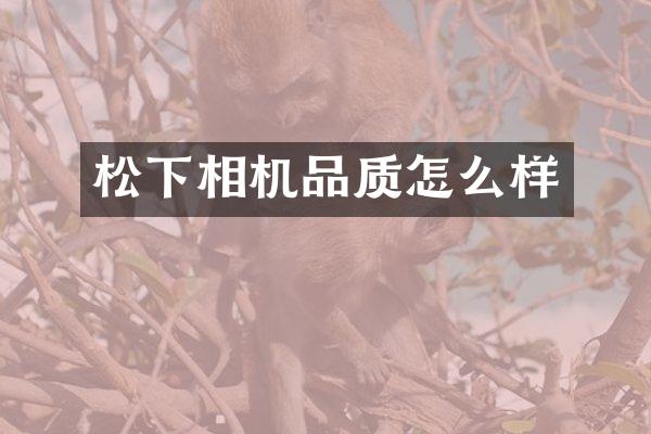 相机品质怎么样