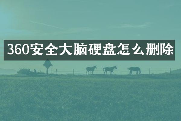 360安全大脑硬盘怎么删除