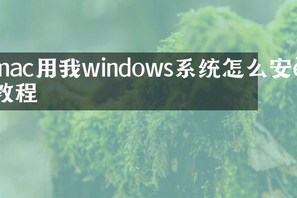 mac用我windows系统怎么安装教程