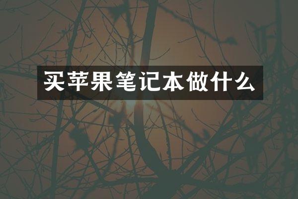 买苹果笔记本做什么