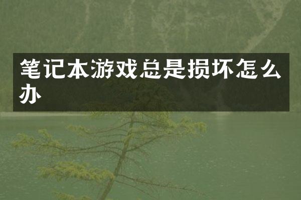 笔记本游戏总是损坏怎么办