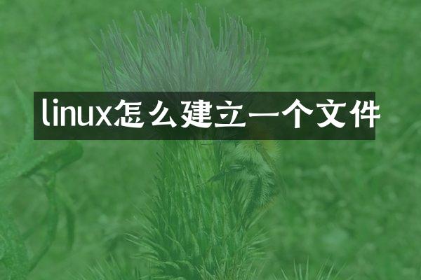linux怎么建立一个文件