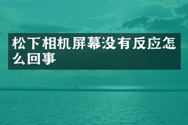 相机屏幕没有反应怎么回事