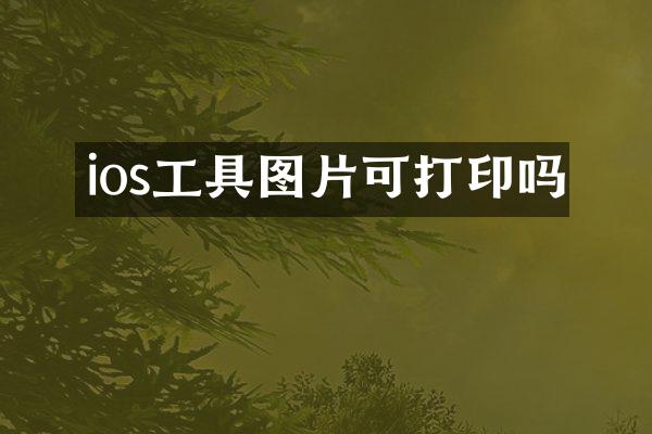 ios工具图片可打印吗