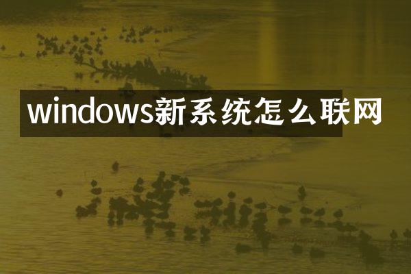 windows新系统怎么联网