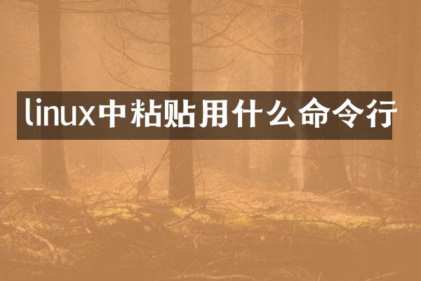 linux中粘贴用什么命令行