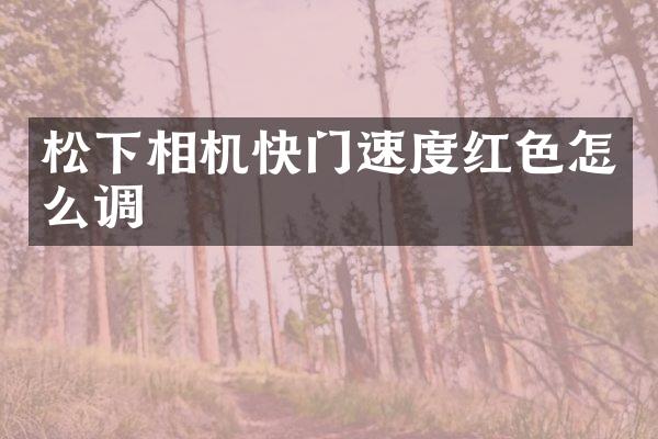 相机快门速度红色怎么调