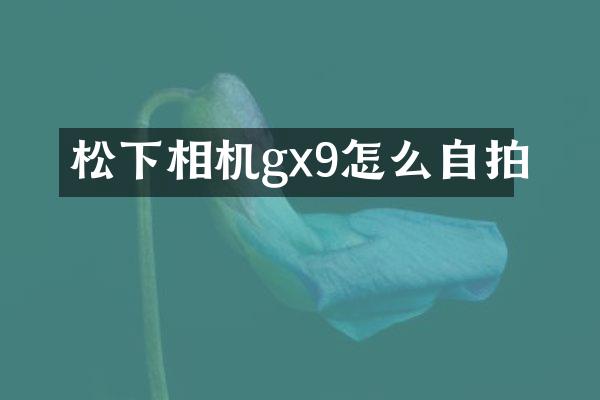 相机gx9怎么