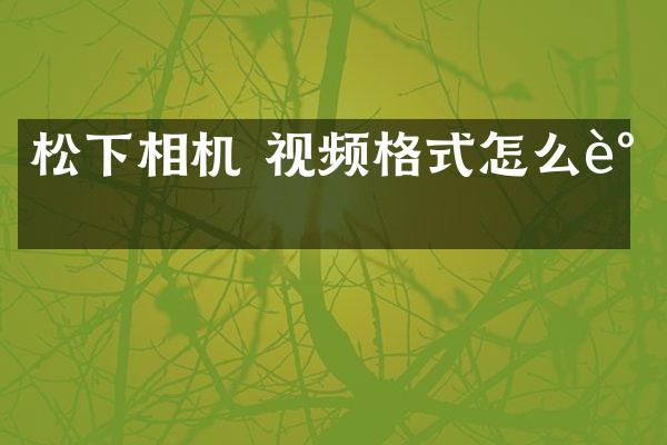 相机 视频格式怎么调