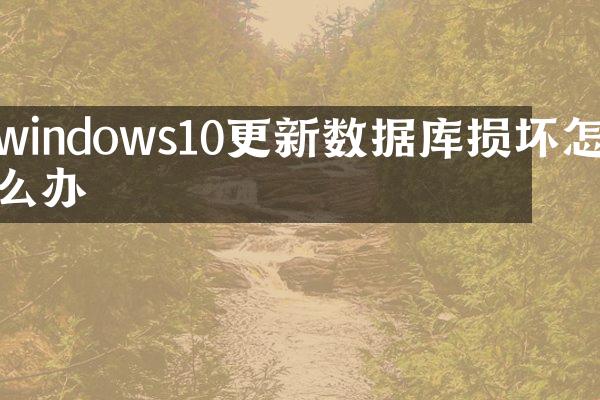 windows10更新数据库损坏怎么办