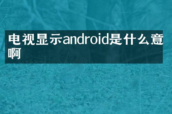 电视显示android是什么意思啊