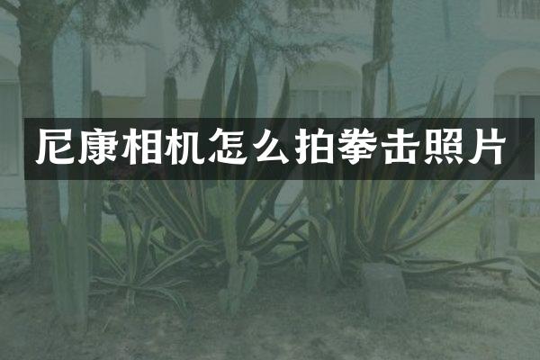 尼康相机怎么拍拳击照片