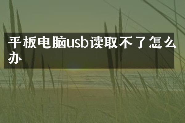 平板电脑usb读取不了怎么办