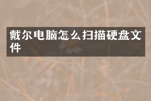戴尔电脑怎么扫描硬盘文件