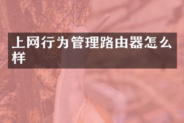 上网行为管理路由器怎么样