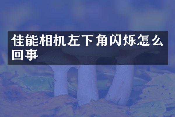 佳能相机左下角闪烁怎么回事