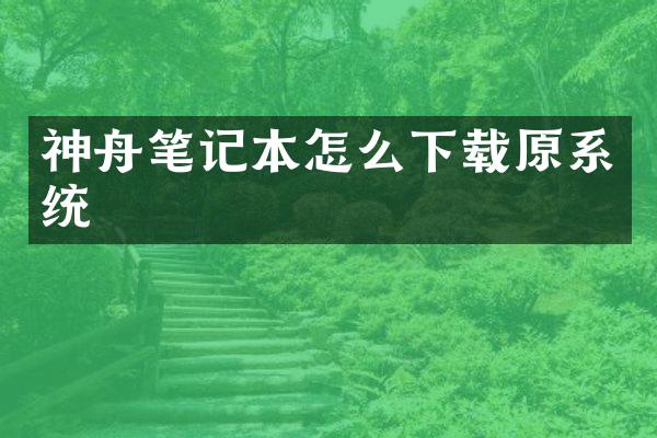 神舟笔记本怎么下载原系统