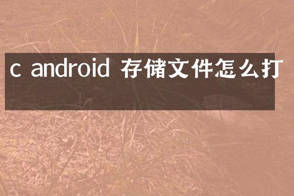 c android 存储文件怎么打开