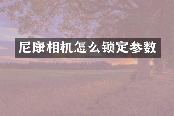尼康相机怎么锁定参数
