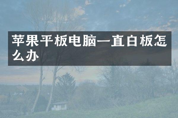 苹果平板电脑一直白板怎么办