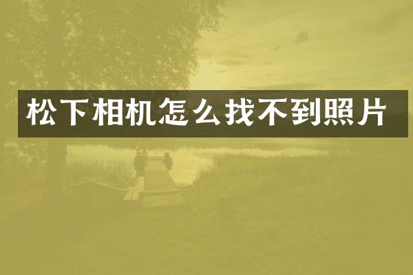 相机怎么找不到照片