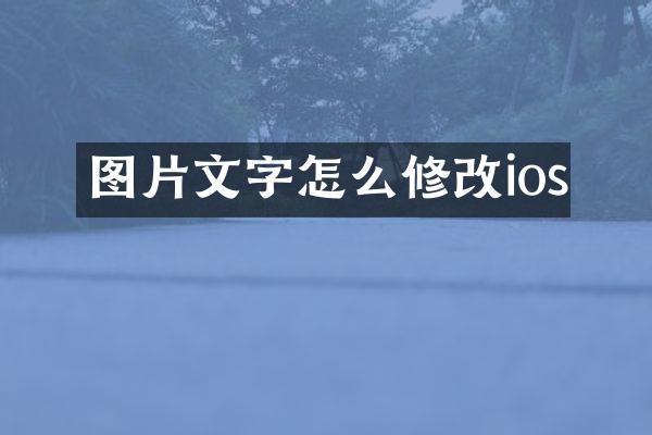 图片文字怎么修改ios
