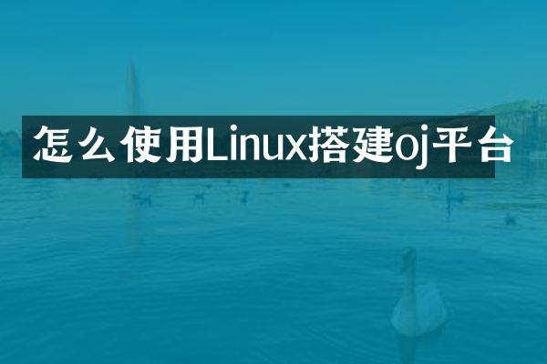 怎么使用Linux搭建oj平台