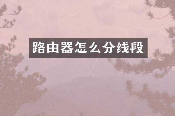 路由器怎么分线段