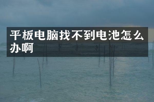 平板电脑找不到电池怎么办啊