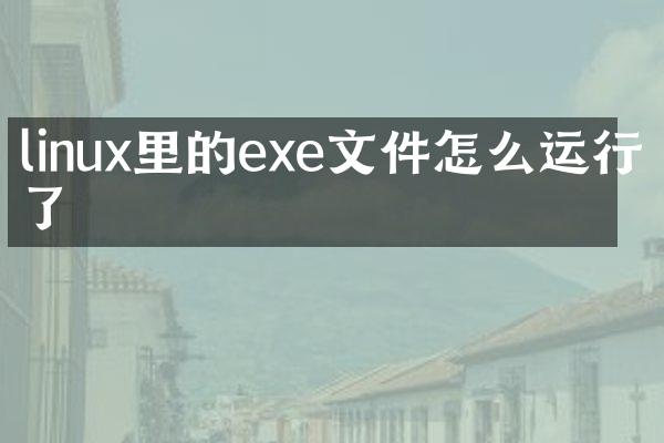 linux里的exe文件怎么运行不了